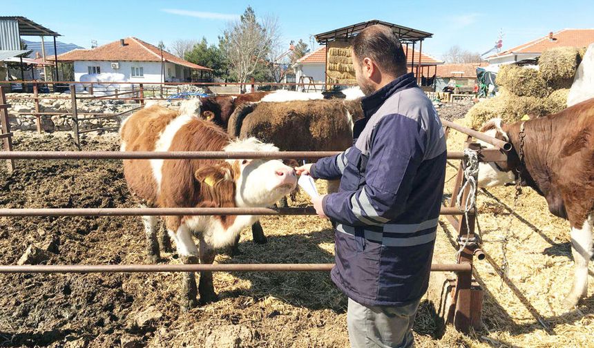 DESTEĞE SAHADA DENETİM