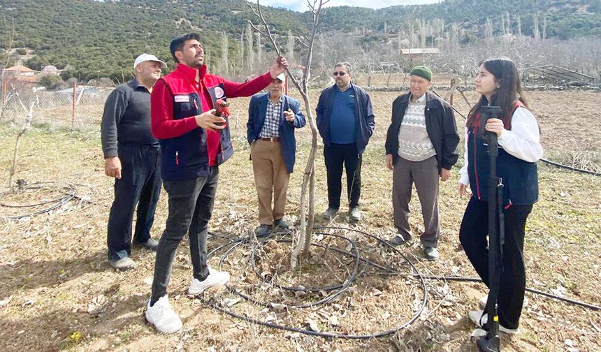 ÇAMELİLİ ÜRETİCİYE BUDAMA EĞİTİMİ