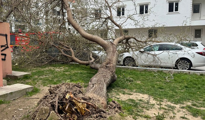 FIRTINA VURDU GEÇTİ