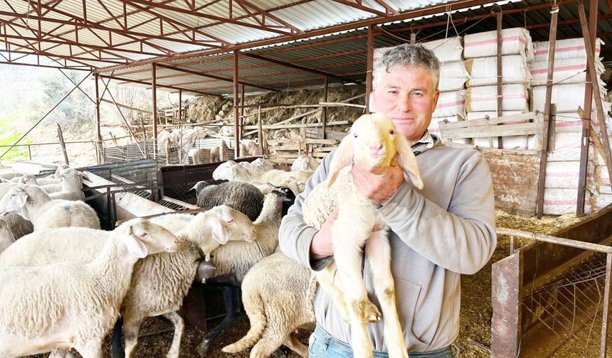 KURBANLIKLAR GÖRÜCÜYE ÇIKTI