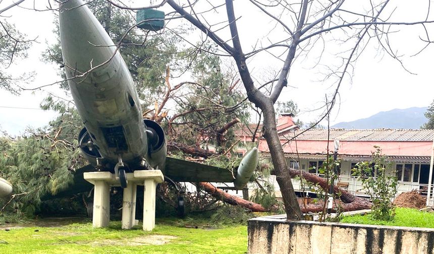 UÇAĞA AĞAÇ ÇARPTI