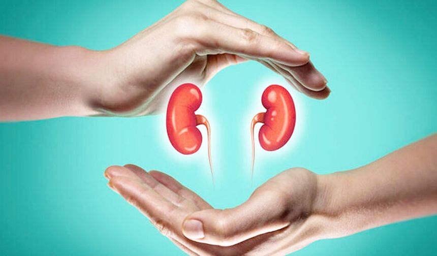 ÇOCUKLARIN BÖBREĞİNİ KORUYUN