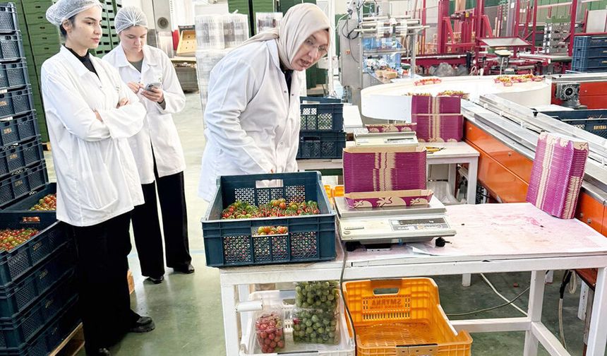 SARAYKÖY’DE DENETİM