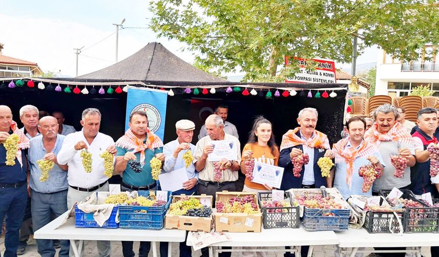 ACIPAYAM AVŞAR ÜZÜMÜ TESCİLLENDİ