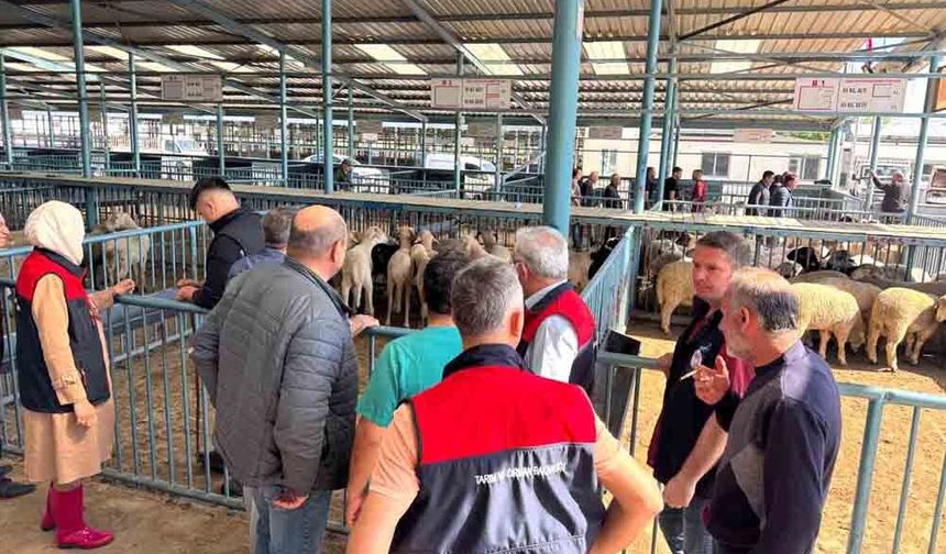 DENİZLİ İL TARIM VE ORMAN MÜDÜRLÜĞÜ EKİPLERİNDEN KURBAN BAYRAMI ALARMI