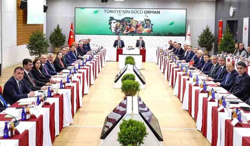 ORMAN YANGINLARIYLA MÜCADELEDE  ÜST DÜZEY BULUŞMA