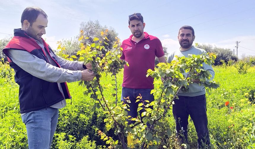 MEYVE BAHÇELERİ EMİN ELLERDE