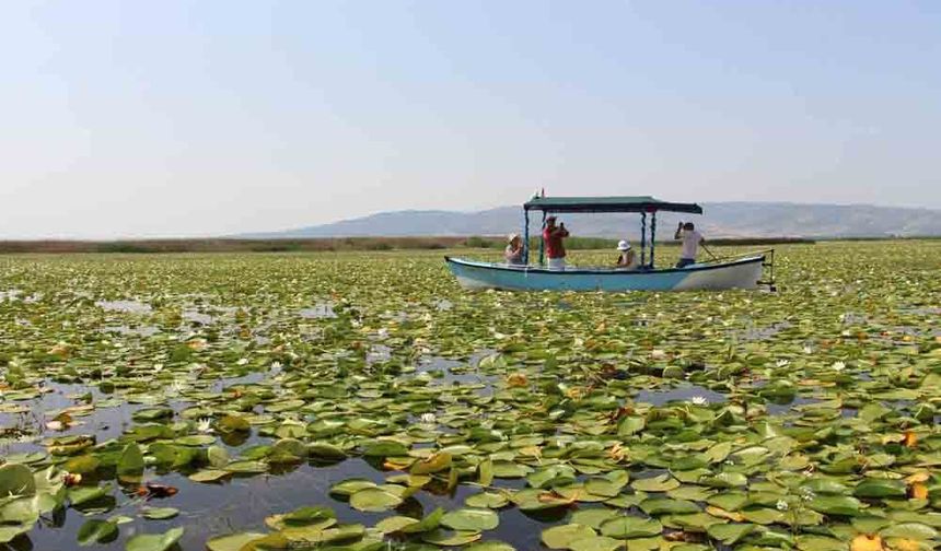 DOĞAL YAŞAM ENDİŞESİ