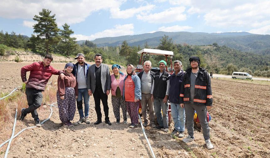 BAŞKAN ERTEMUR KEKİK TARLASINDA