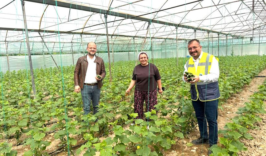 GÜNEY BELEDİYE BAŞKANI ÜRETİCİLERLE FİDAN DİKTİ