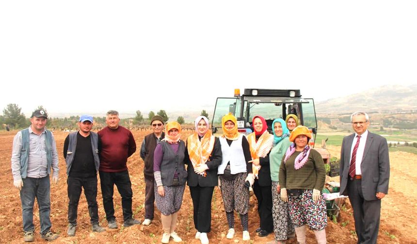 ÇAL KAYMAKAMI POŞU TAKTI, KEKİK DİKTİ