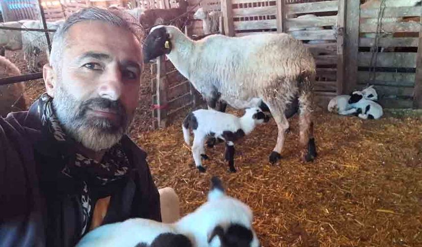 ÇEŞME SAKIZI İLE FRANSIZ KOÇUNU BİRLEŞTİRDİ