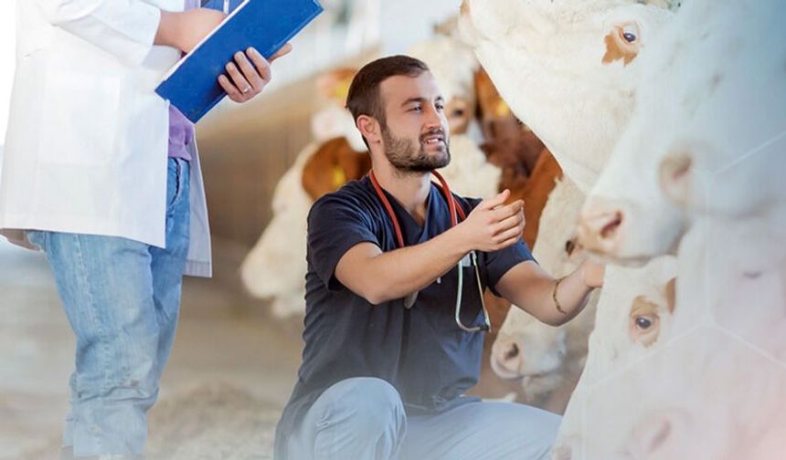 ÜRETİCİYE SAHADA DESTEK