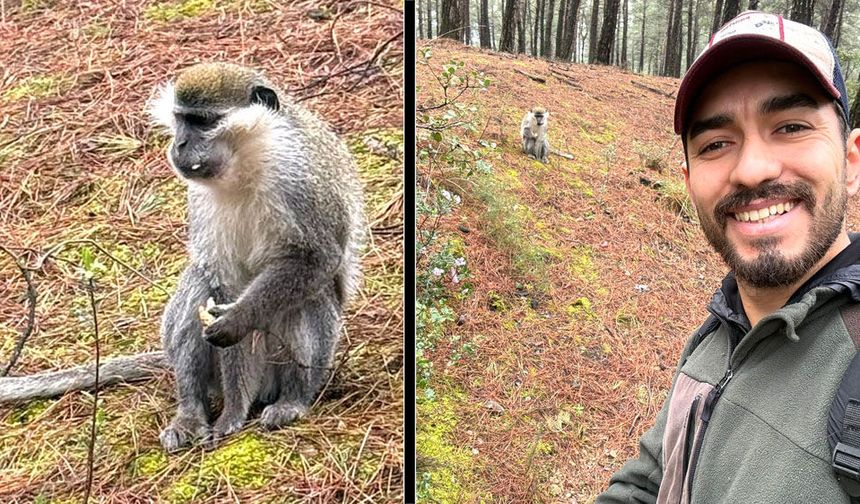 ÇAMLIK’TAKİ MAYMUN FİRARİYMİŞ