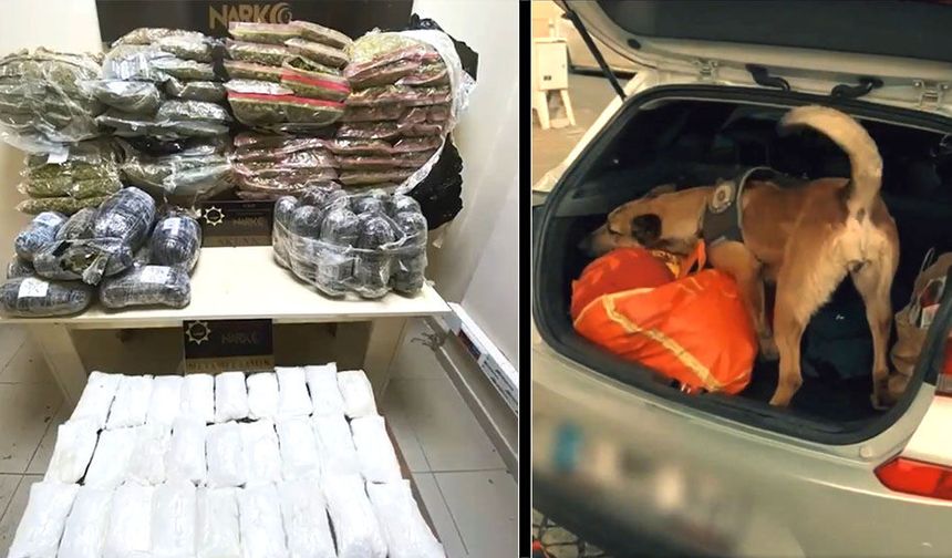 BÜYÜK ZEHİR BASKINI