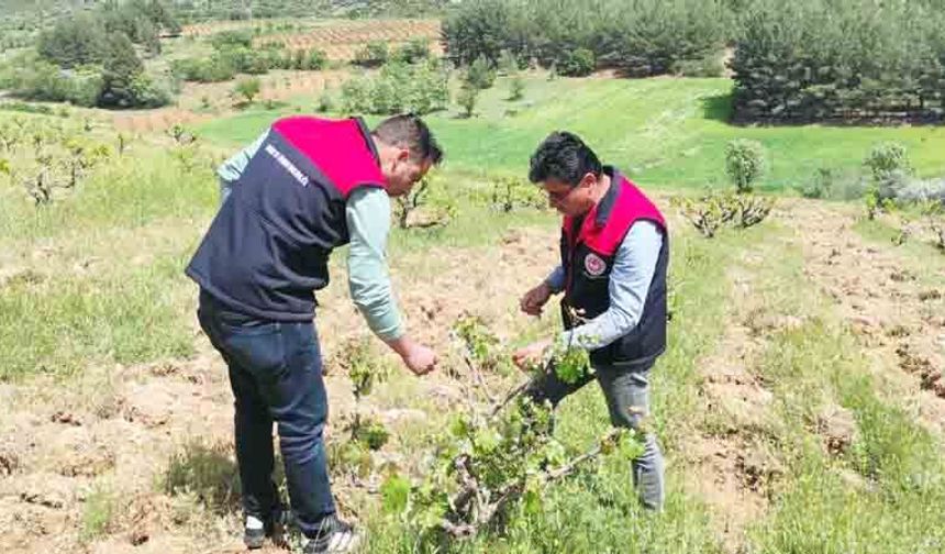 YAĞIŞ SONRASI SAHA KONTROLÜ