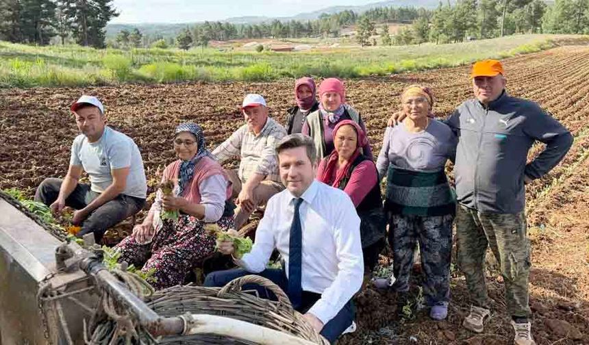 BAŞKANLAR TÜTÜN MESAİSİNDE