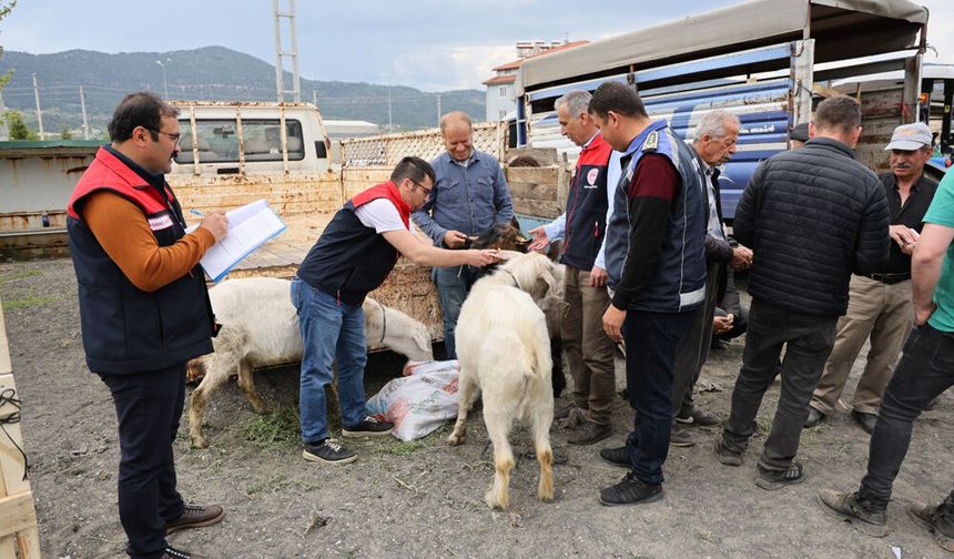 ÇAMELİ KURBAN PAZARINDA BAYRAM YOĞUNLUĞU