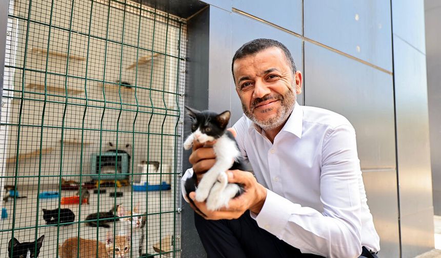 SAHİPLENDİRMEDE REKOR ARTIŞ
