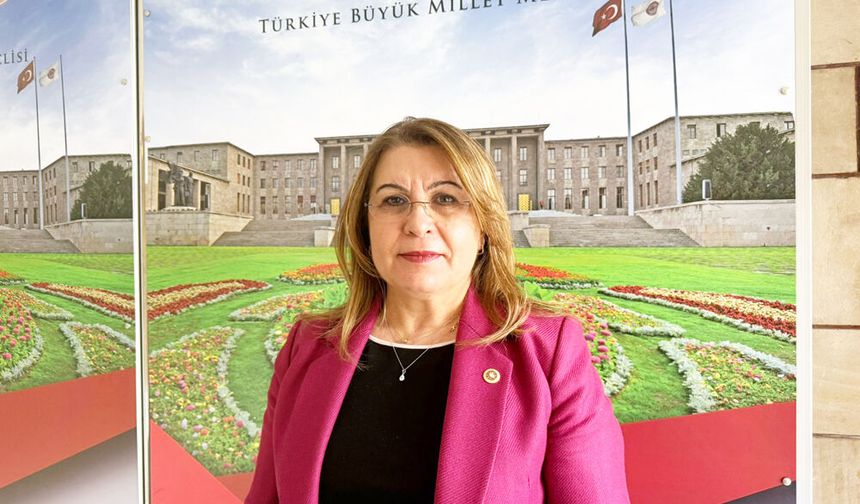CHP DENİZLİ MİLLETVEKİLİ KARACA’DAN 19 MAYIS RAPORU