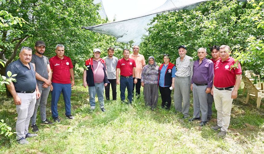 MEYVE BAHÇELERİ TAKİPTE