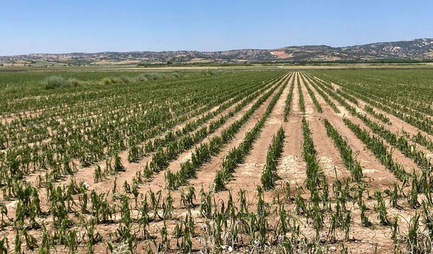 ÇAL’I DOLU VURDU