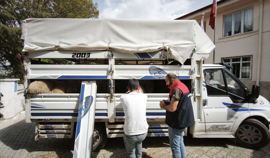 HAYVAN HAREKETLERİ DENETİM ALTINDA