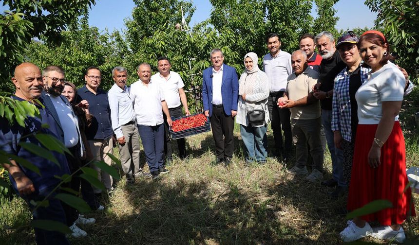 SUBAŞIOĞLU KİRAZ VE KAYISI HASADINA KATILDI