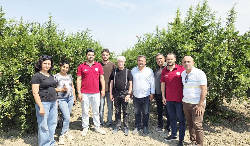 NARLARI BÖCEK KURTARACAK
