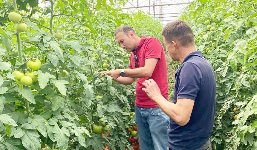 ACIPAYAM’DA SERALARDA GÖZLEM