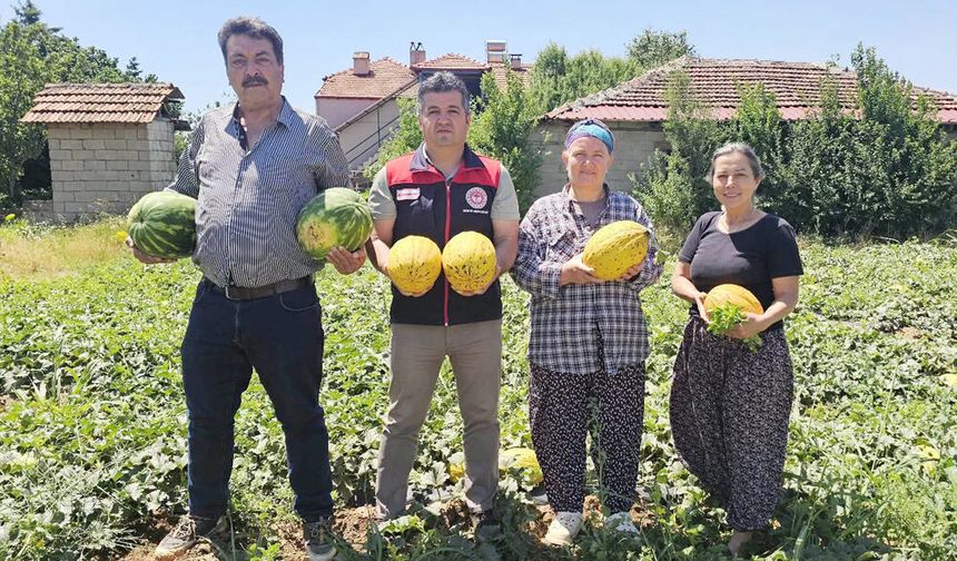 TARLADAN SOFRAYA LEZZET YOLCULUĞU