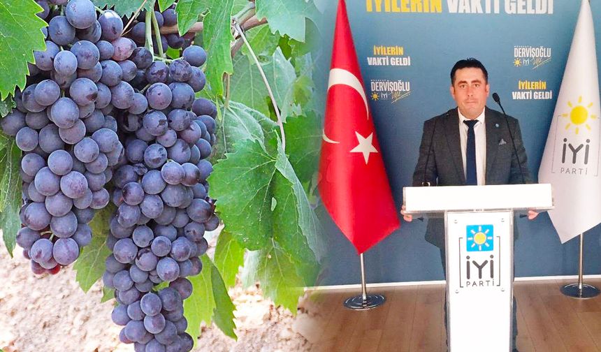 ÜZÜMDE BELİRSİZLİK TEDİRGİN EDİYOR