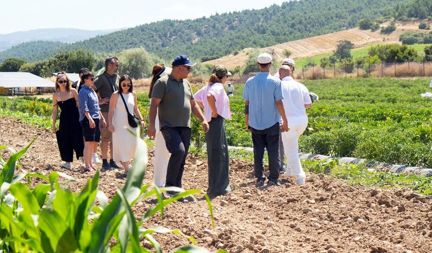 AVRUPALI UZMANLAR NESA ATA ÇİFTLİĞİ'NDE İYİ TARIM ÖRNEK OLUYOR