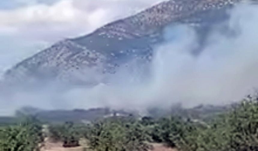ACIPAYAM'DA ORMAN YANGINI