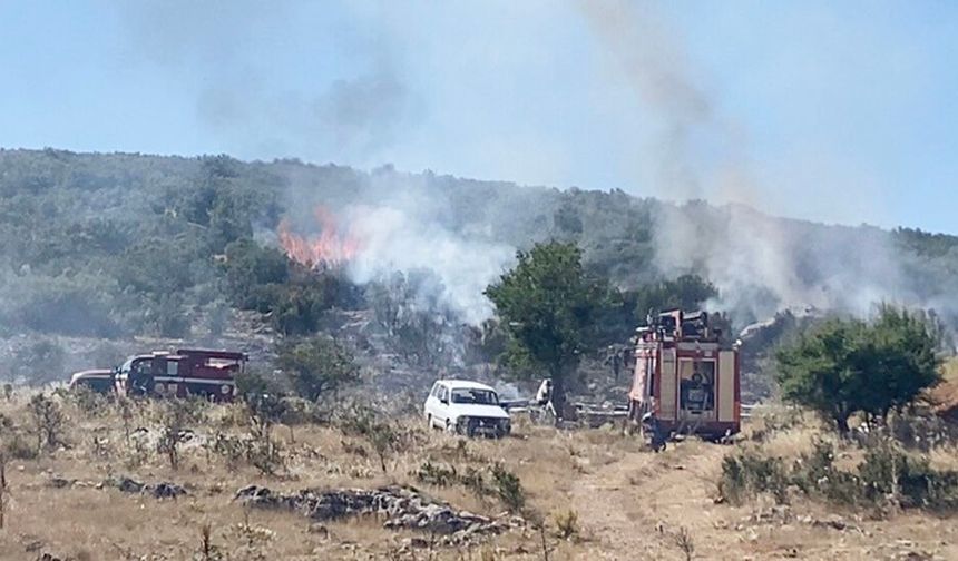 ARICININ TÜTSÜSÜ ORMANI YAKTI