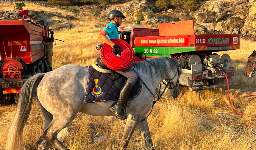 YANGIN HORTUMLARINI ATLI JANDARMA TAŞIDI