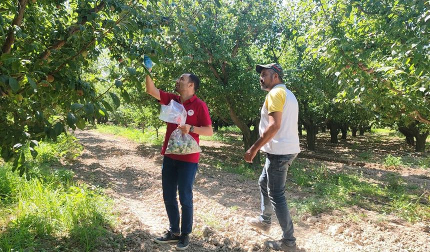TARLADAN SOFRAYA GÜVENLİ YOLCULUK