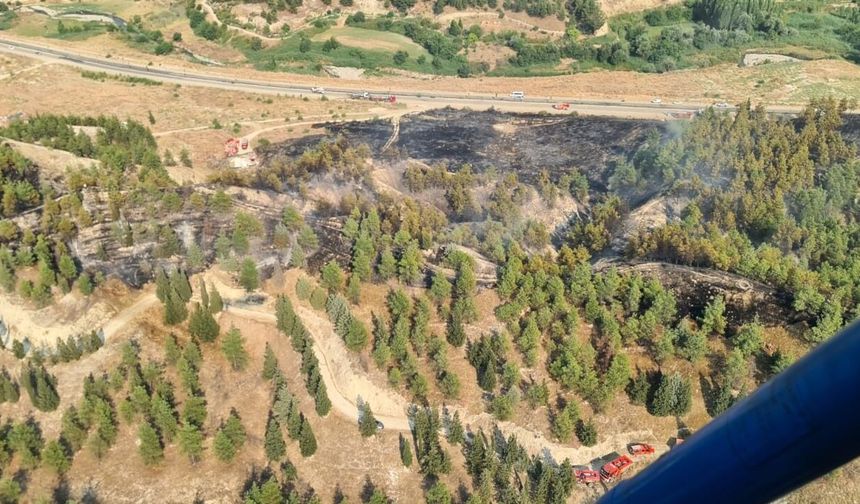 YOL KENARINDA BAŞLADI, ORMANLIK ALANA SIÇRADI