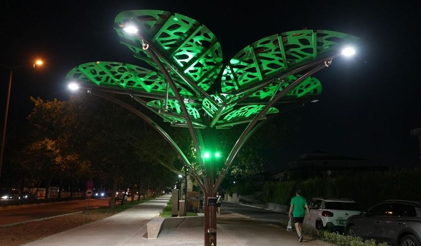 “SOLAR AĞAÇ” KENTLE BULUŞTU
