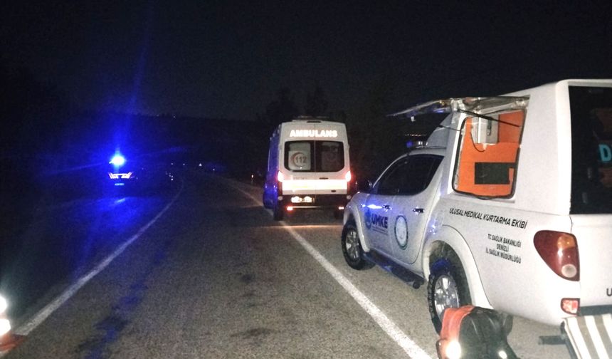 HAYVANA ÇARPTI ŞARAMPOLE UÇTU