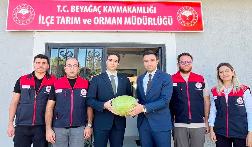 BEYAĞAÇ KAPRUZU COĞRAFİ İŞARET YOLUNDA