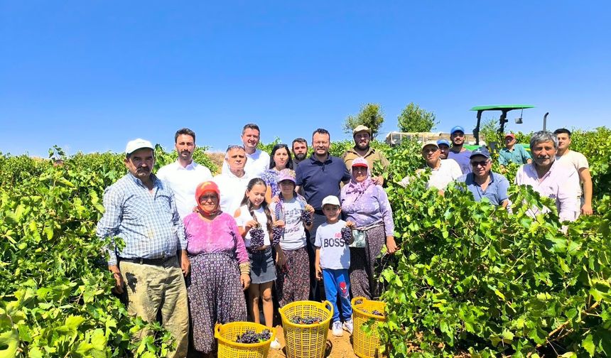 YENİ PARTİ’Lİ ARPACI’DAN ÜZÜM FİYATINA TEPKİ:   “YA MALİYETİ DÜŞÜRÜN YA DEĞERİNDEN ALIN”