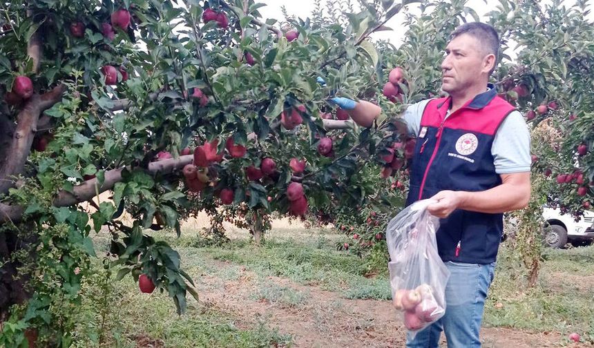 HASAT ÖNCESİ DENETİM