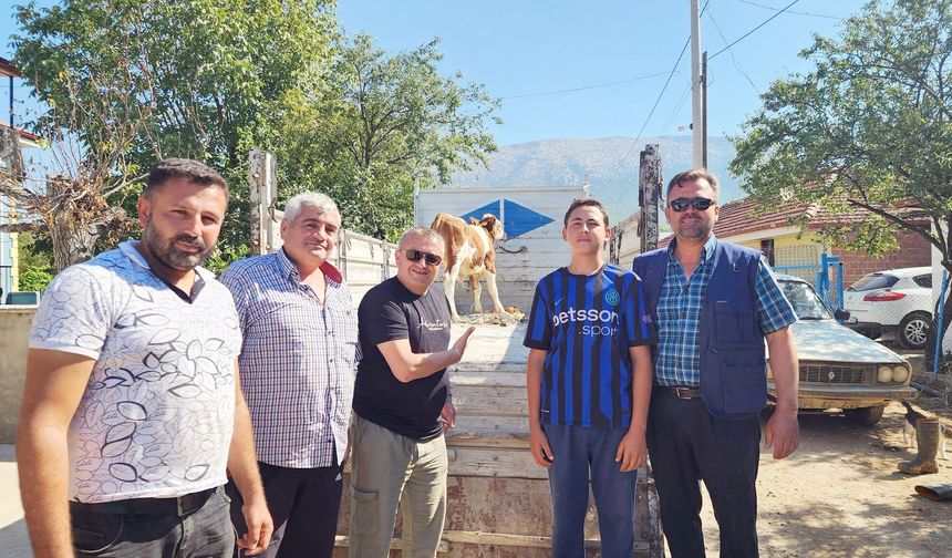 KAYIP BUZAĞI SEFERBERLİĞİ
