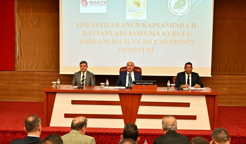 VALİ KÖŞGER SOKAK HAYVANLARI KONUSUNDA NET KONUŞTU: BU İŞİ ÇÖZECEĞİZ
