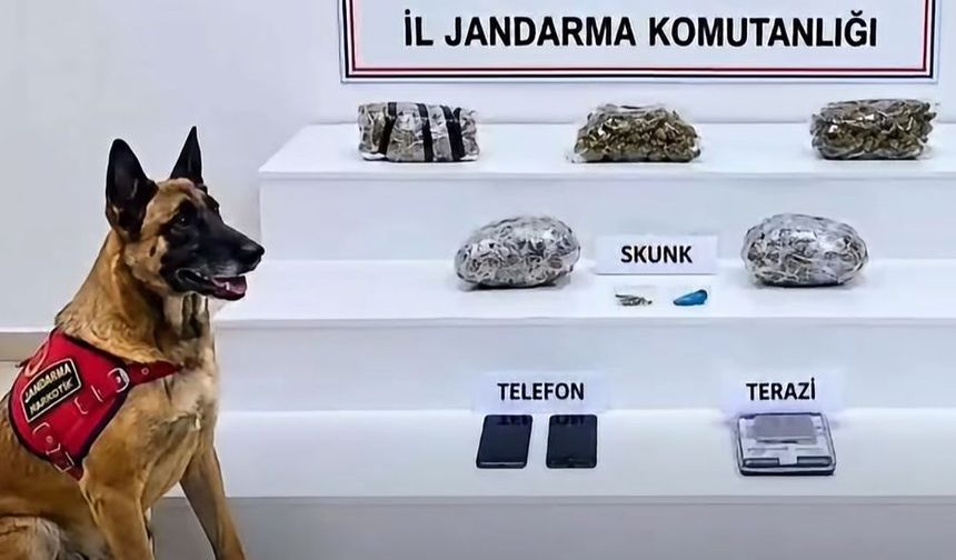 BÜYÜK ZEHİR OPERASYONU