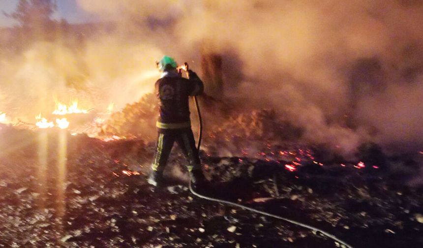 ALEVLERİN ARASINDA KALDI, YAŞLI KADIN CAN VERDİ