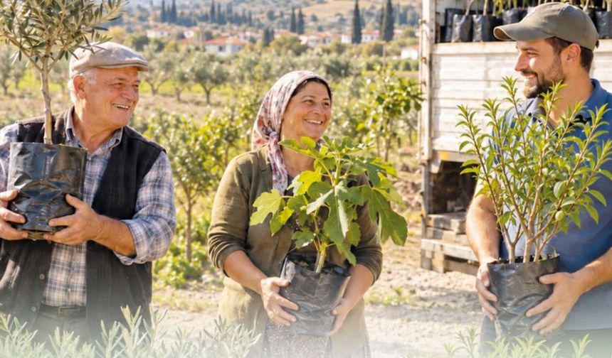 DENİZLİ BÜYÜKŞEHİR’DEN ÇİFTÇİLERE FİDAN DESTEĞİ