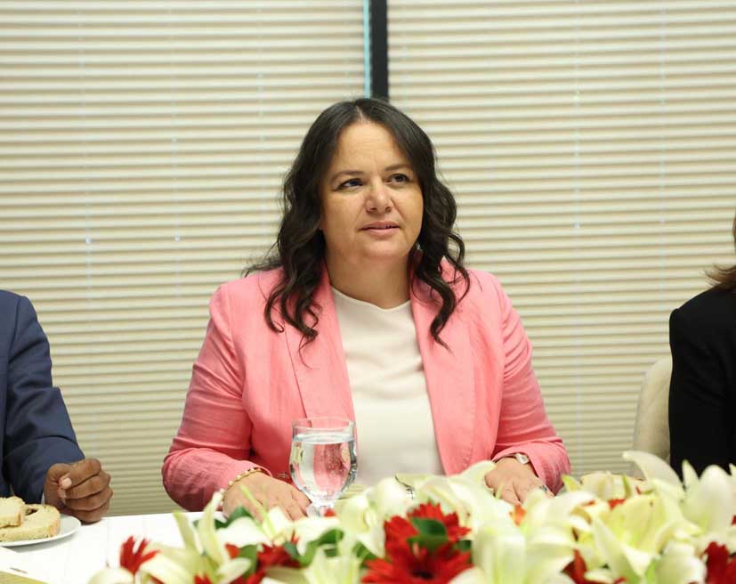 Nilgün Ök