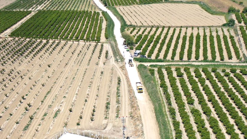 Arazi